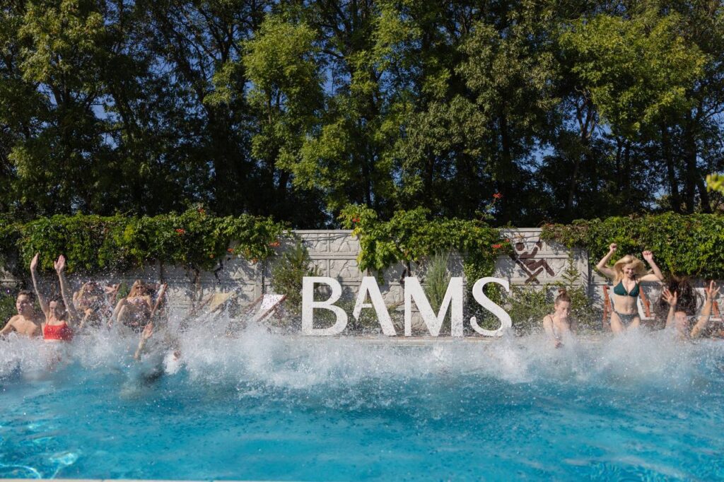 Літери окремі BAMS
