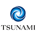 Цунами 1